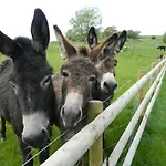 Parkgate Farm Feriepark *