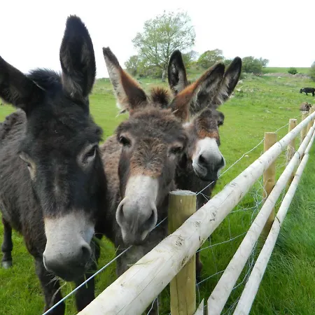 Parkgate Farm Holiday park *