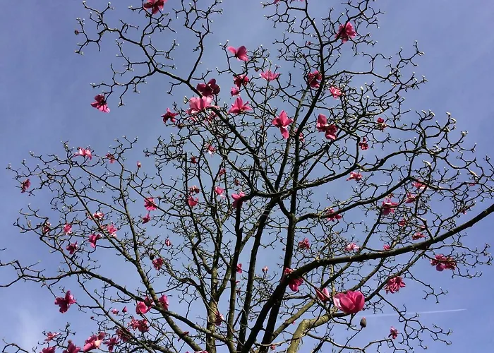 Parkgate Farm Holiday park *